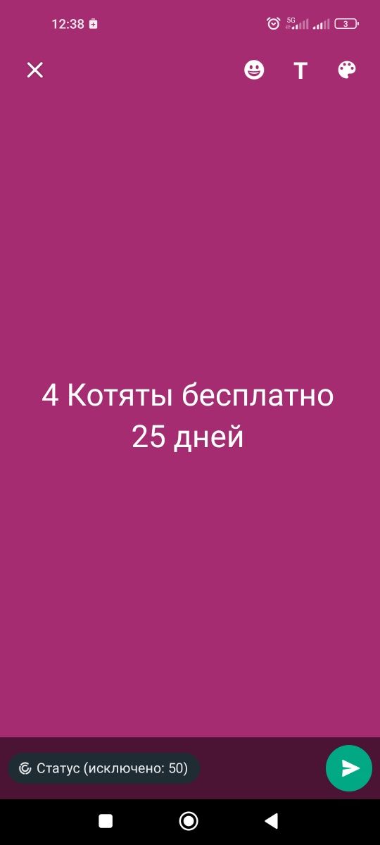 4котяты отдам бесплатно