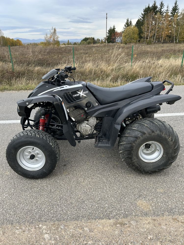 Atv quad adly 300 2x4