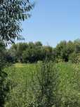 Vand teren 2000 mp Halchiu Brasov