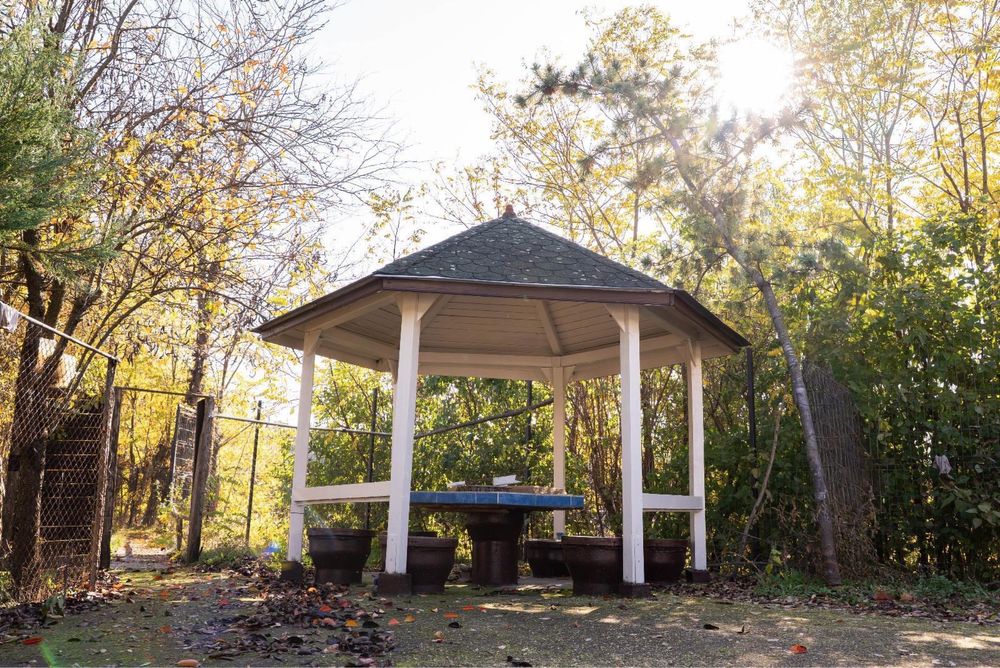 Casa bratovoiesti -Dolj