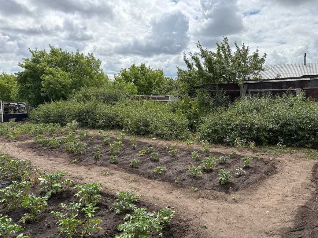 Продается дом в пригороде Степногорска