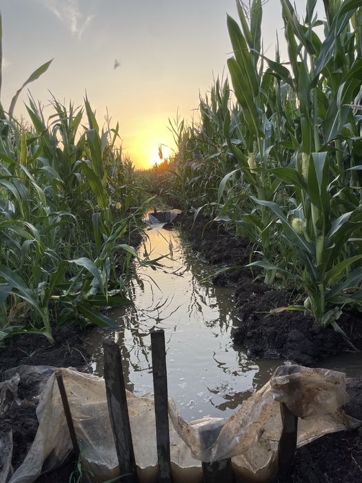 Сенаж , Силаж ,  Ливадно Сено, Слама