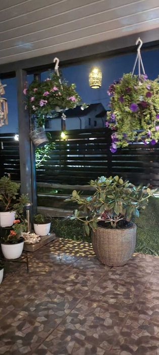 Casa parter 3 camere