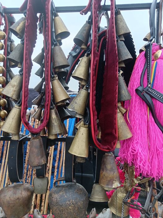 Salbe de zurgălăi clopote și clopoței!