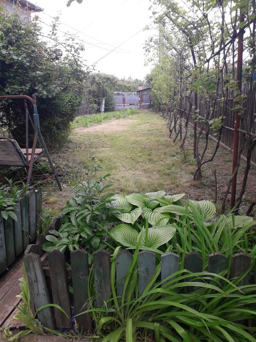 Anunt casa Negoiesti, Prahova