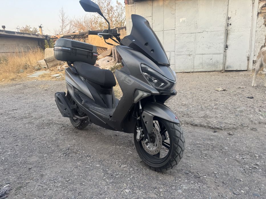 Скутер тайгер