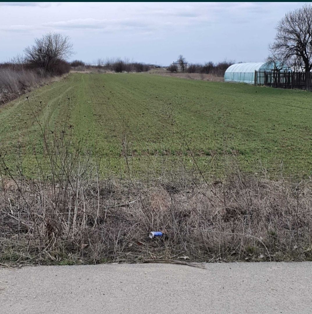 Teren de vanzare, 2800 mp Darăști-Vlașca, la 20 minute de București