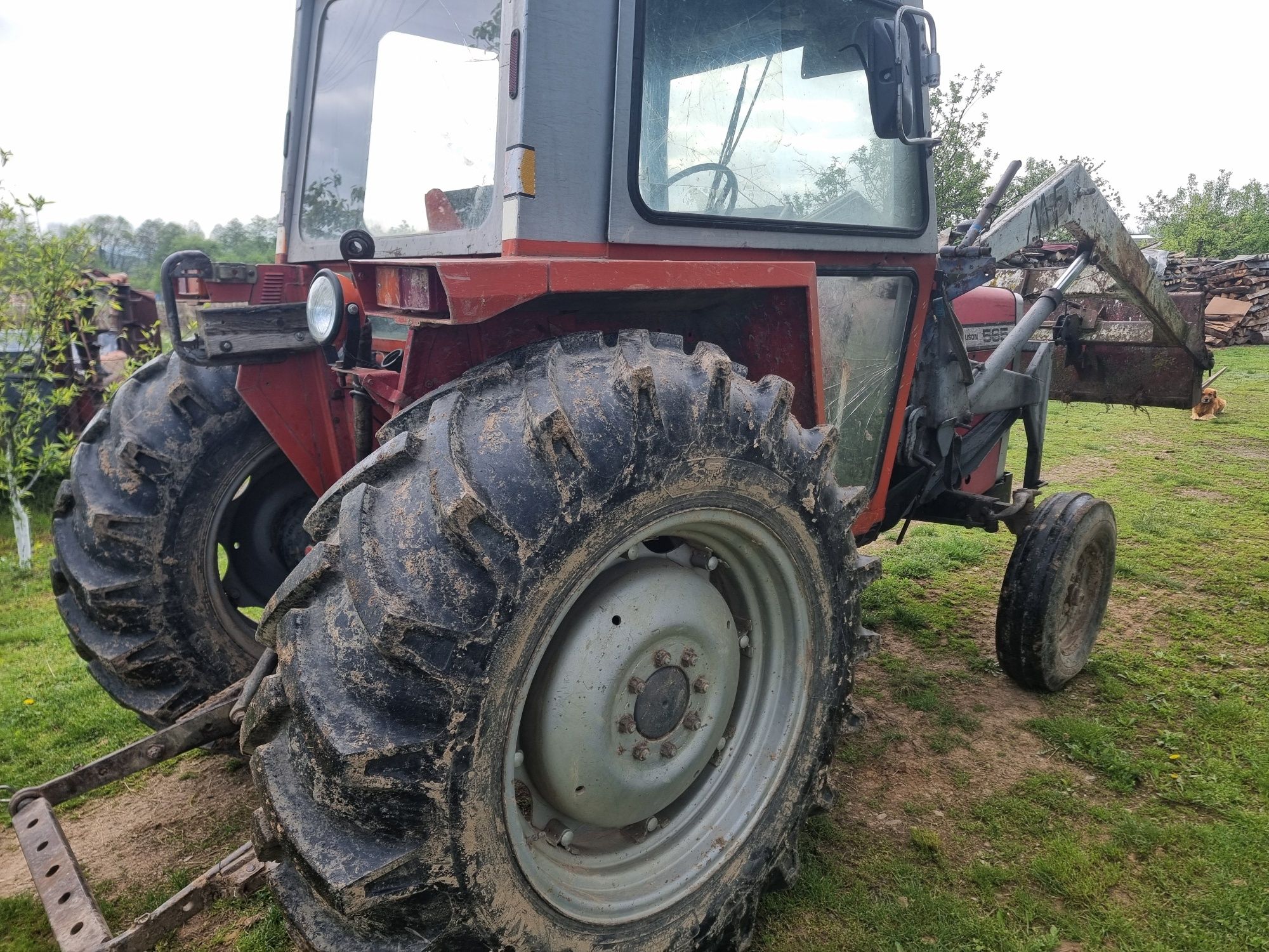 Massey ferguson 565 cu incarcator frontal