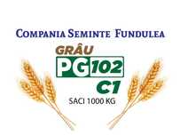 samanta grau PG102, calitate superioara. Compania Seminte Fundulea