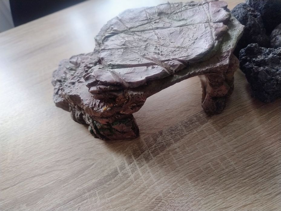 Platforma broasca testoasa