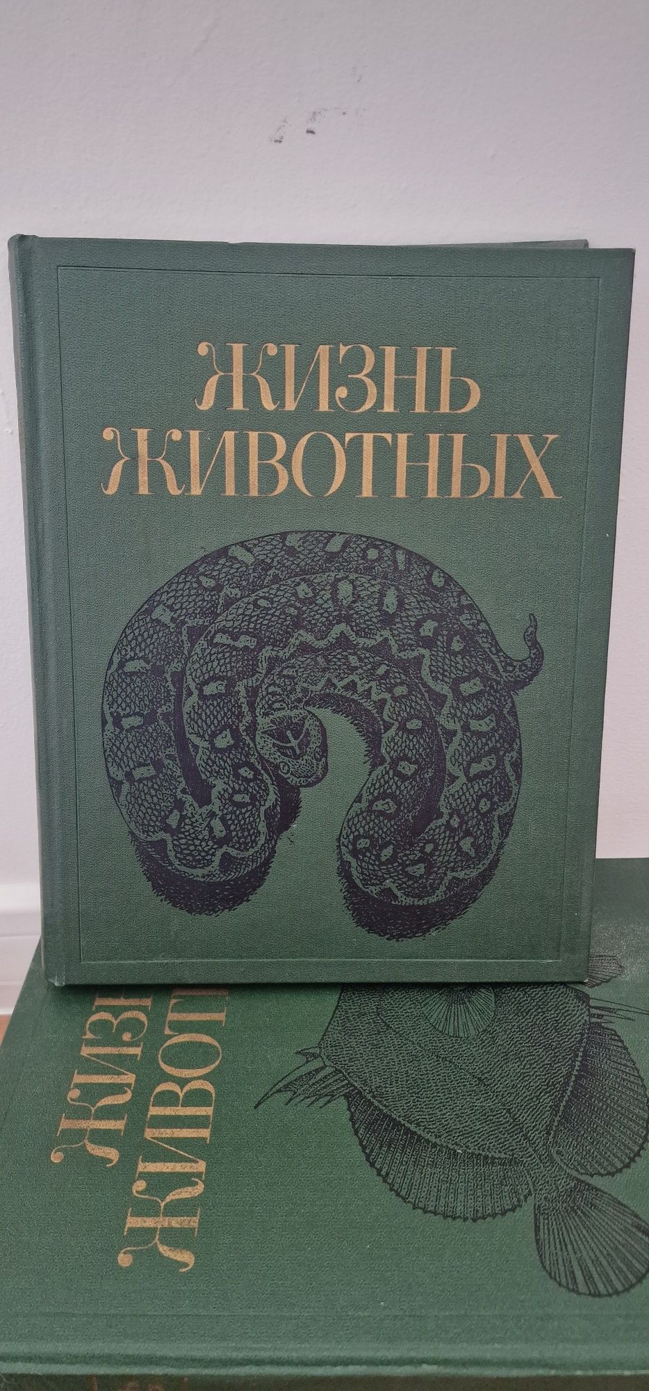 Живот на животните