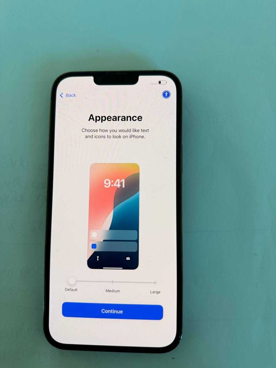 iPhone 13 Pro Max