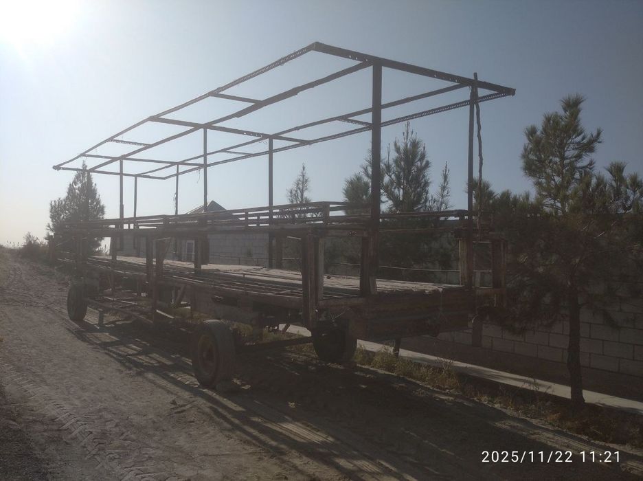 Асалари павилион