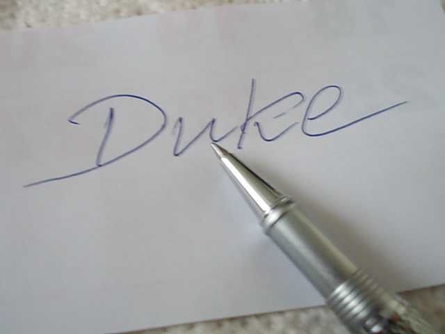 Луксозна химикалка DUKE