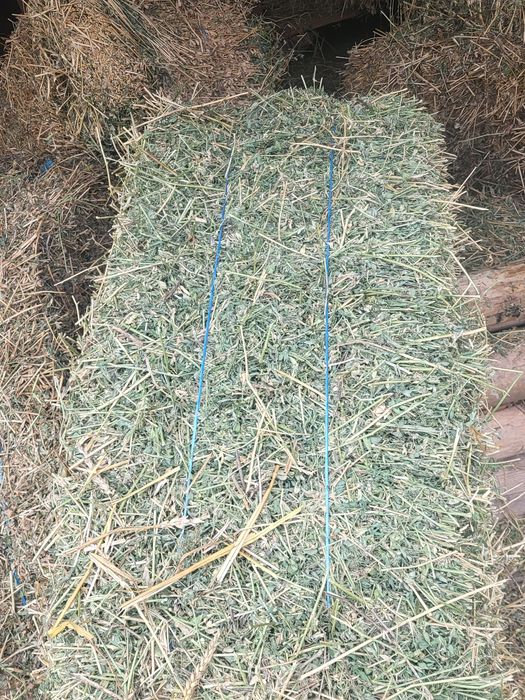 Baloți de lucernă se vând urgent