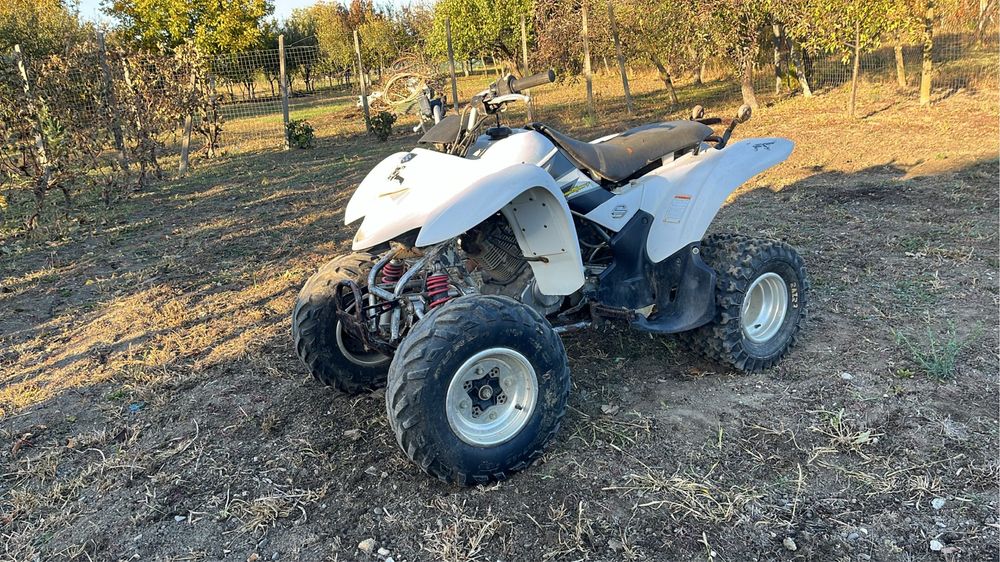 Suzuki LTZ 250 !!