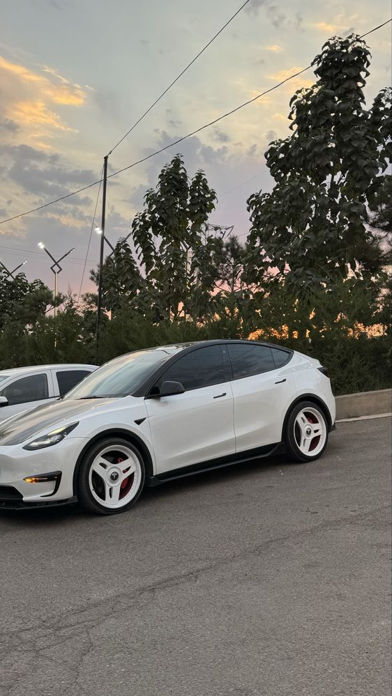 Telsa Model Y 2023 Dual Motor Long Rang
