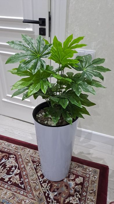 Цветы декоративные Суний Гул Тувак Арт Архидея Пальма