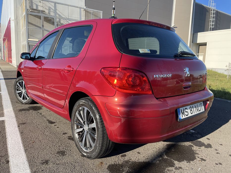 Peugeot 307 1.6 benzina