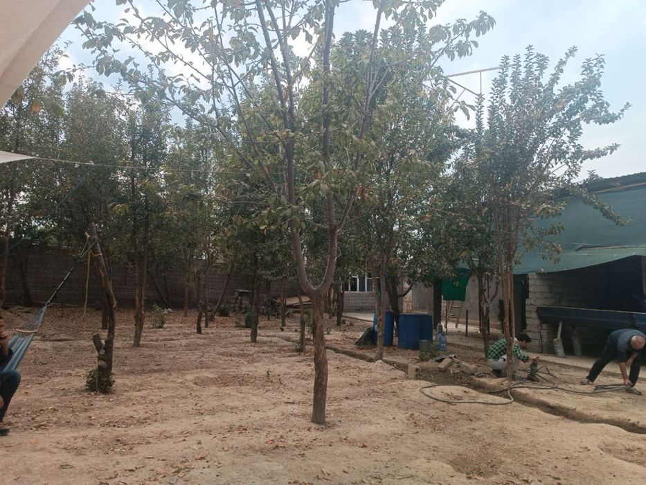 Арзон! Бўзсувда 8 Соток Ховли Сотилади!