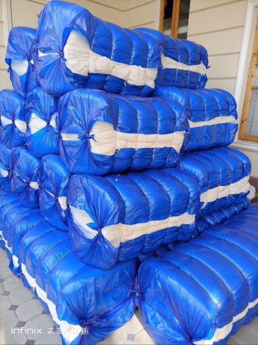 Toy paxta Paxtadek Oppoq