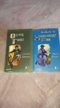 Aventurile lui Huckleberry Finn