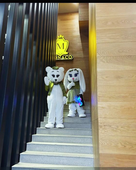 Аниматор.на прокат.Мишка тедди.