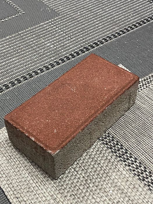 Бурчатка в двух цветах