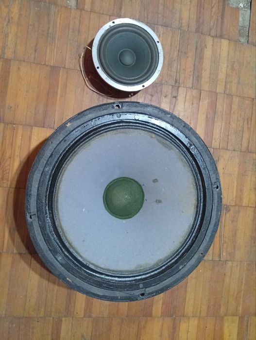 Басовые динамики