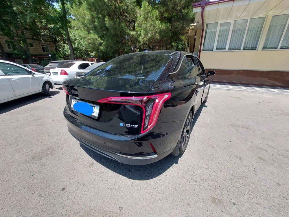 Hongqi elektor mobil tozza
