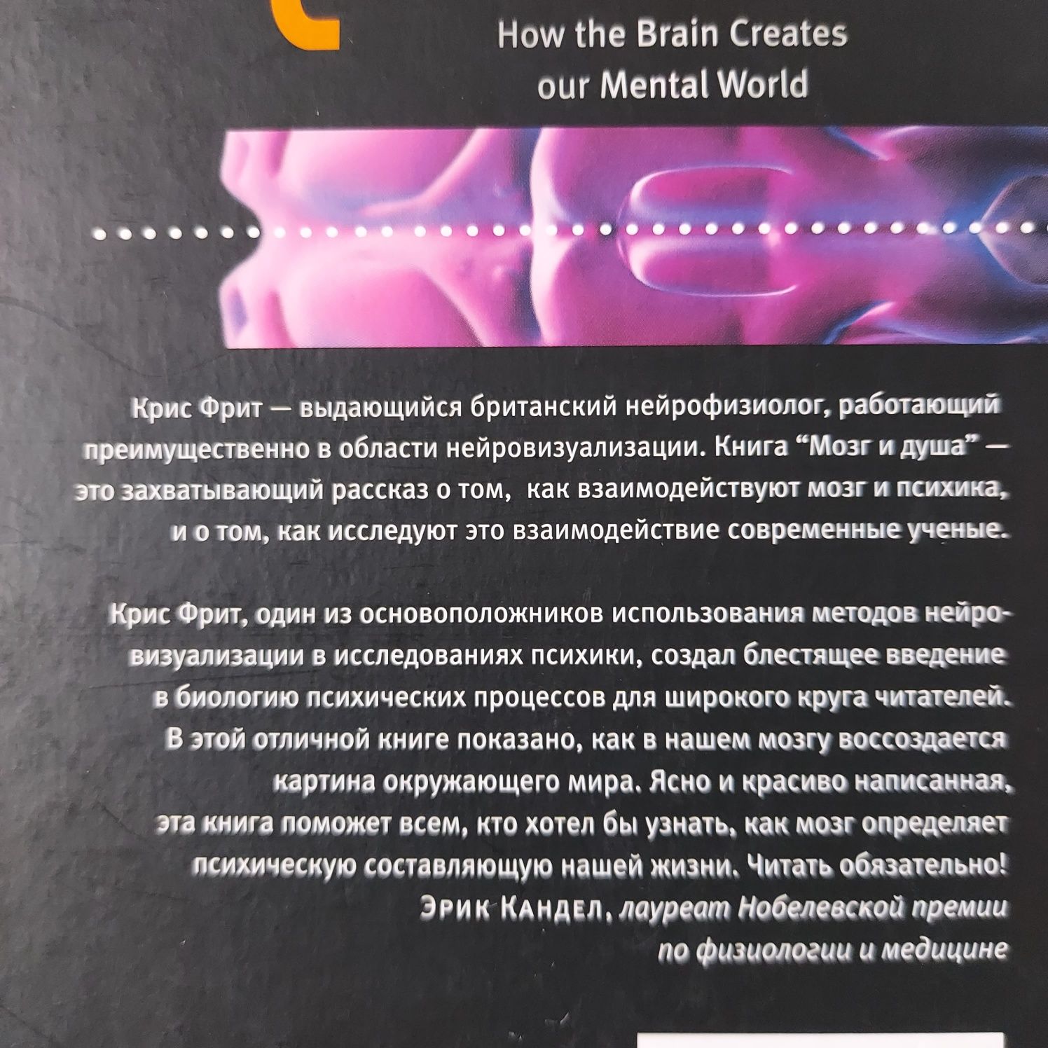 Книга "Мозг и душа"