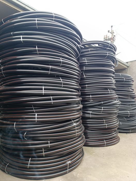 Palitilin truda sotaman uptim narhda