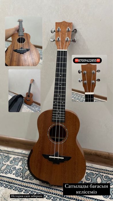 Укулеле, Концерт