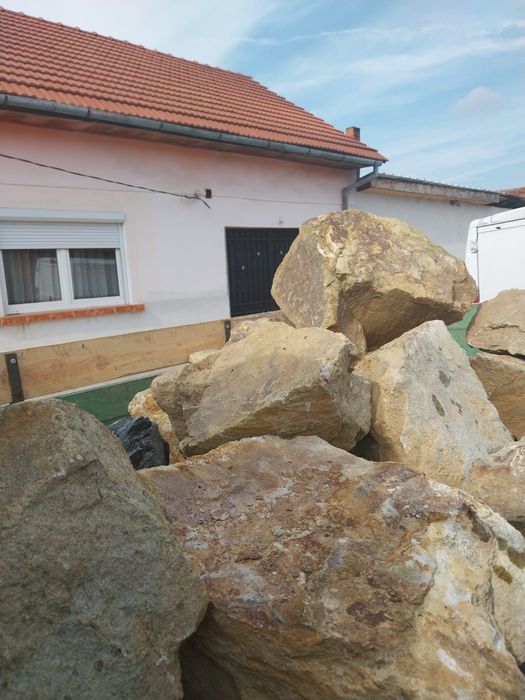 Vand bolovani ornamentali