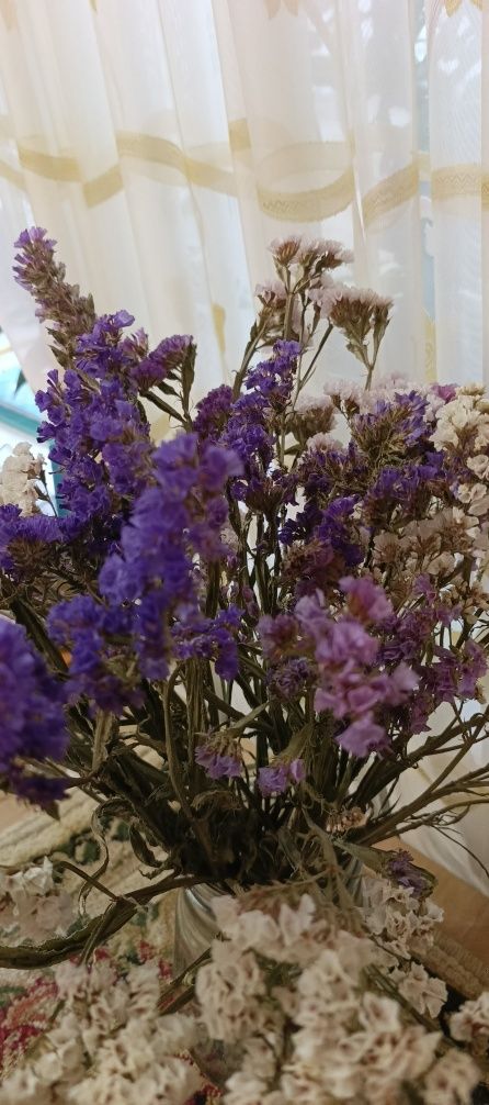 Цветы сухостой. Букет будет радовать всю зиму