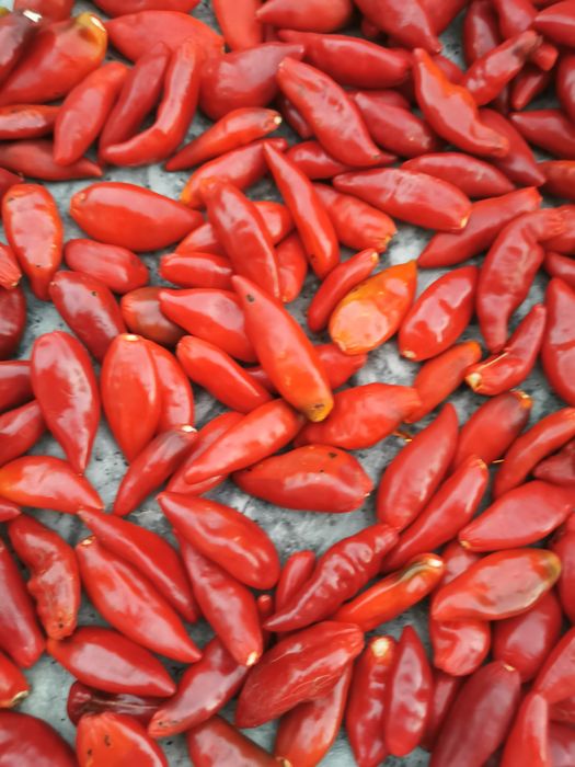 Пуканки чушки рибки