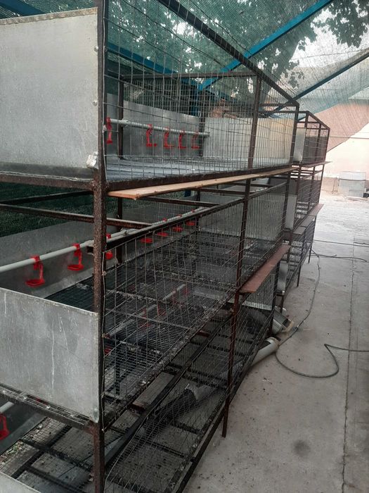 Клетки для бройлеров