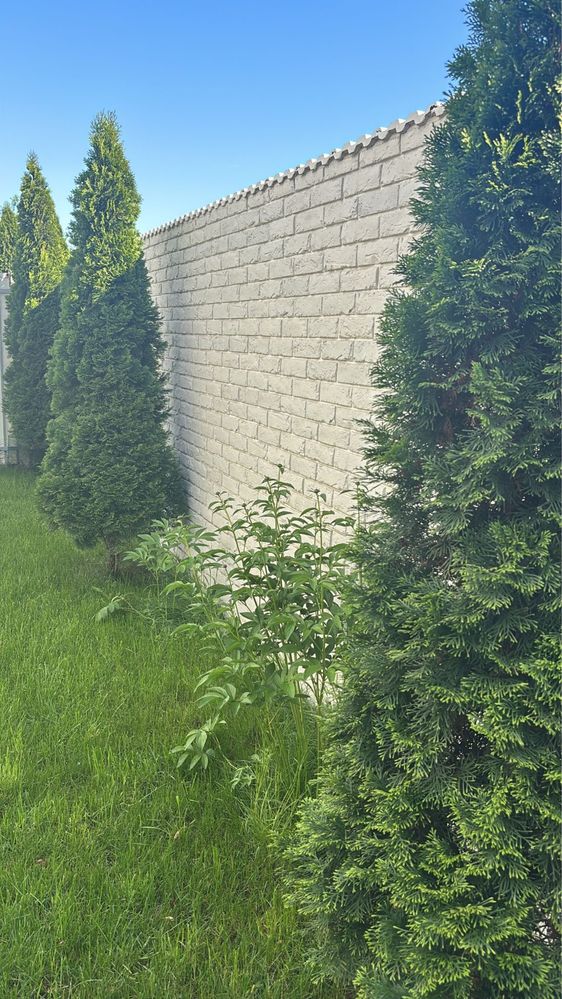 Caramida aparenta piatra decorativa coame gard capace stalpi boltari