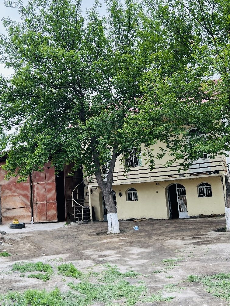 Tayyor molhona sotiladi