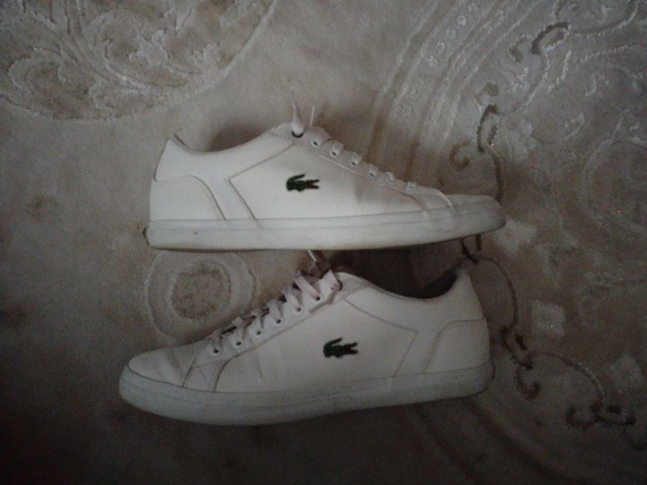 Adidași:Lacoste Mărimea 42