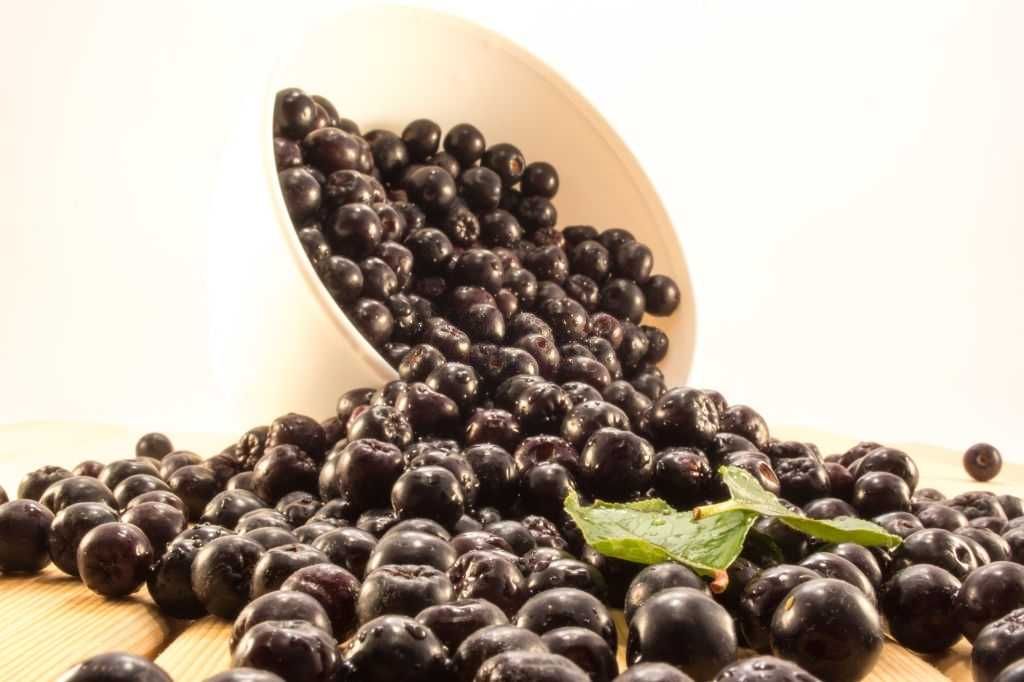 Suc Aronia 100% natural