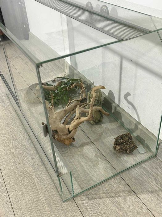 Terariu de Sticlă cu Ventilație Superioară și Decor Natural