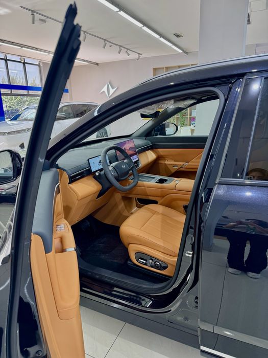 Dongfeng 008 610KM Electra Ultra Restyling 2026 Full