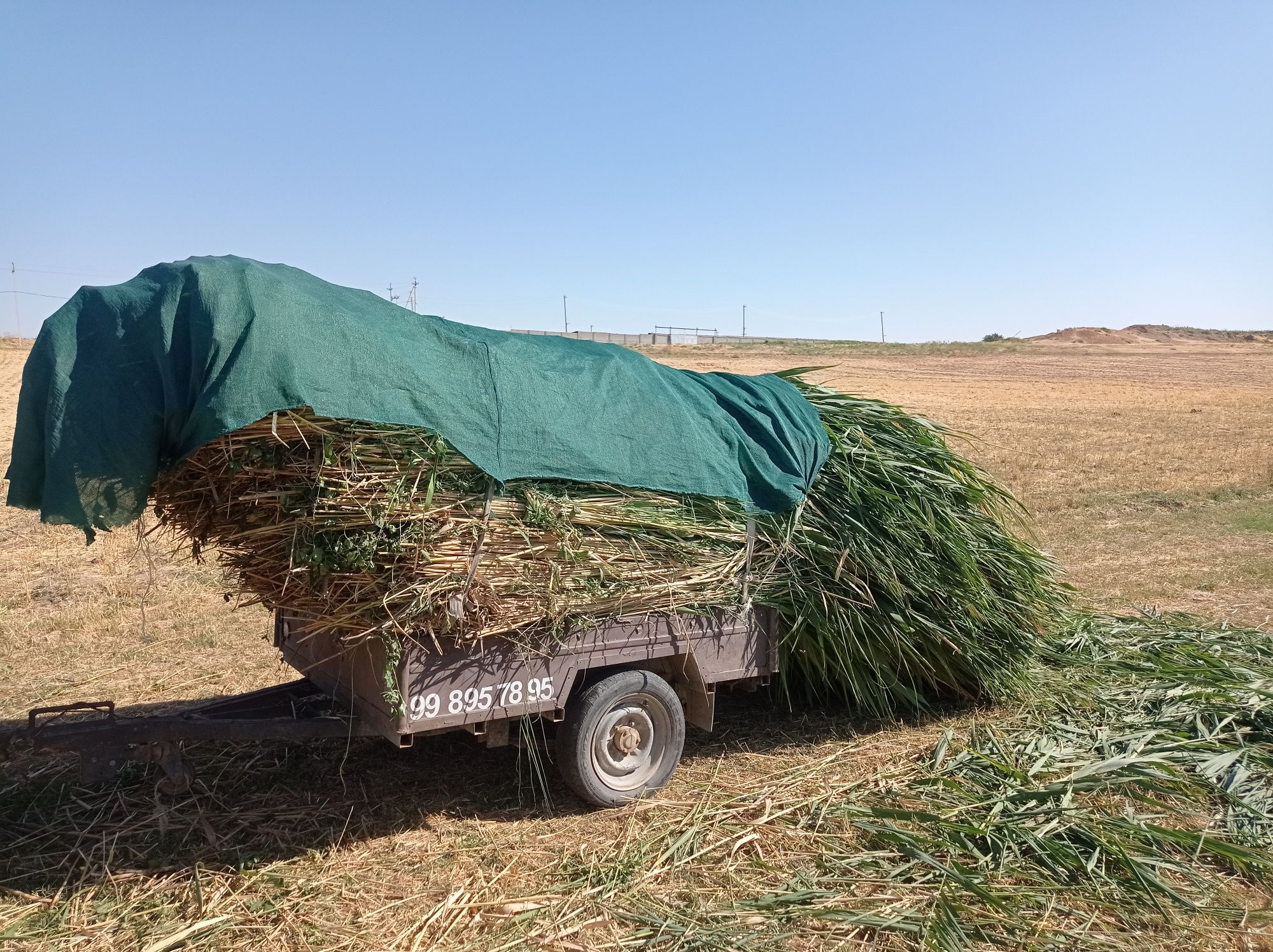 Qamich kere bosa tel qilila bekorchila tel qimela