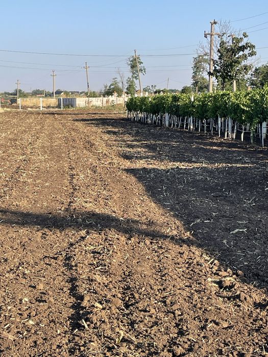 Minitractor CAMPO T18 Progarden