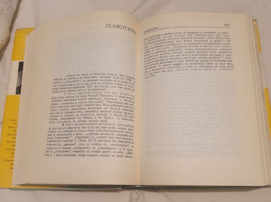 Dictionar de idei literare