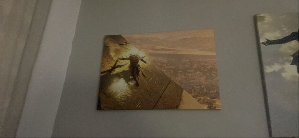 Assassin’s creed панорамни плакато(може отделно)