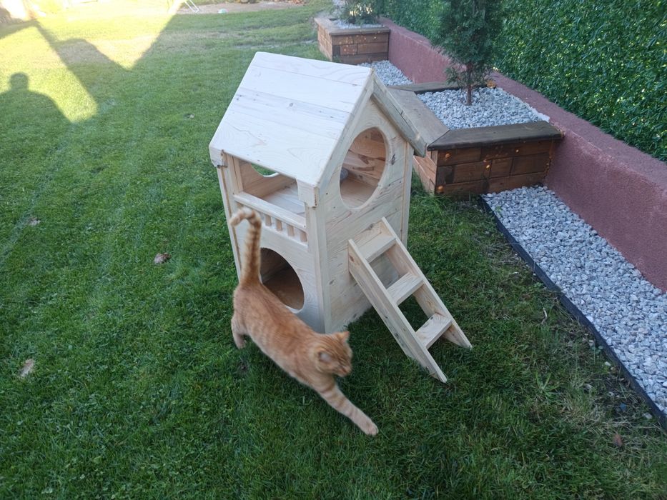 Къщичка за котка