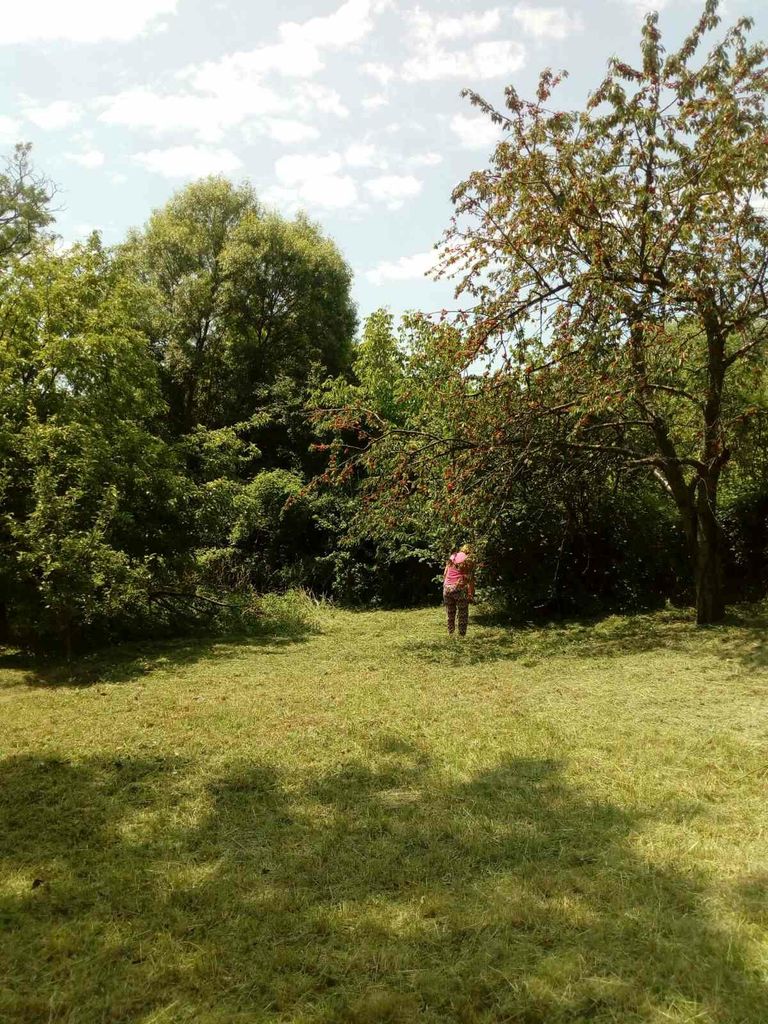 Продава се Парцел в София, Красна поляна 1 - 500 кв.м за 31 €/кв.м - Снимка #6
