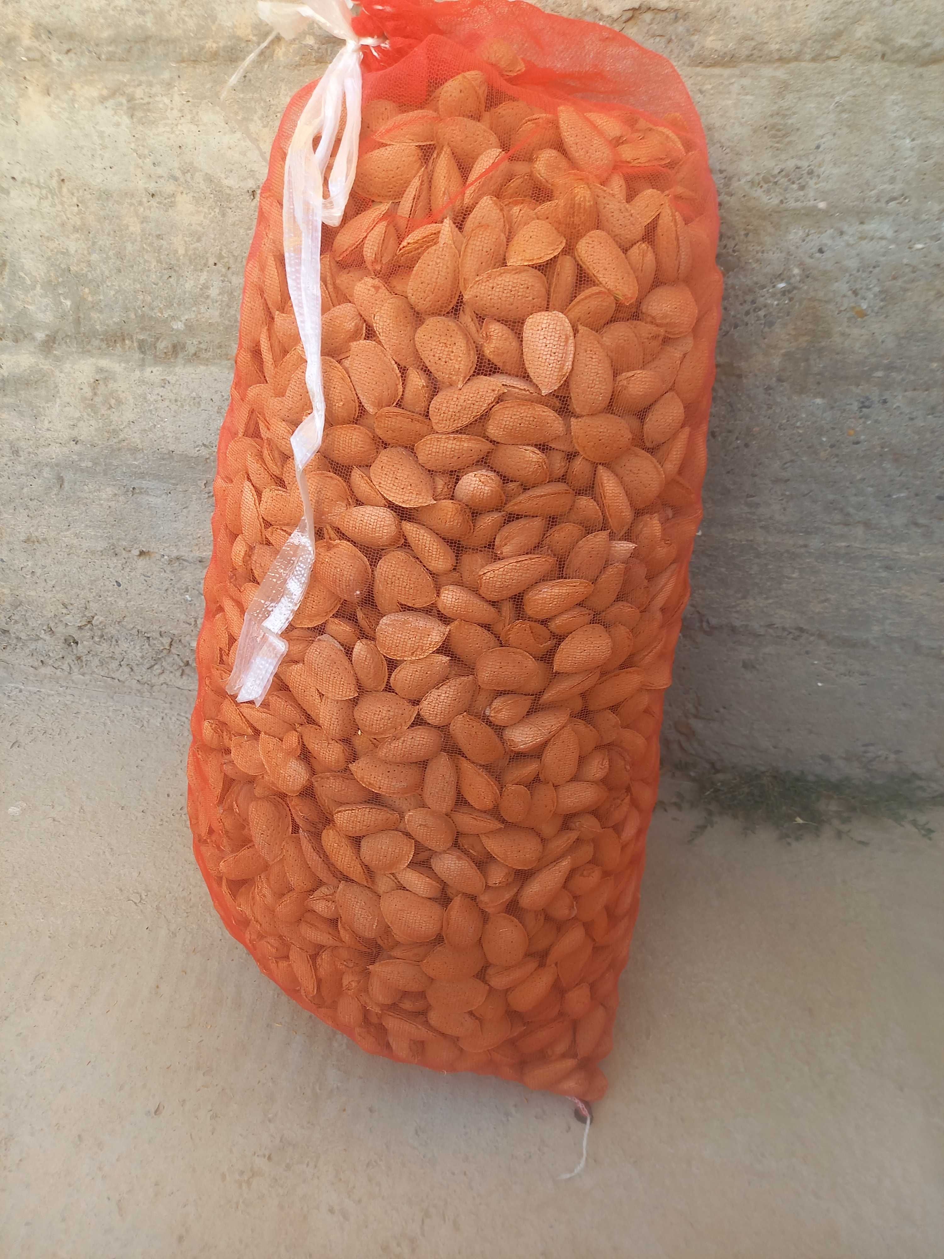 Bodom sotiladi 50 kg, 2 qop